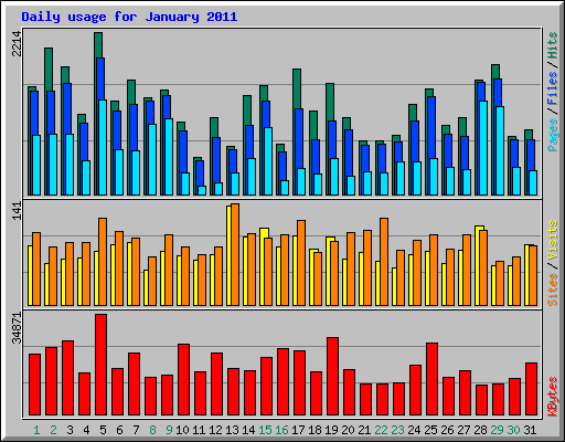 Daily usage for January 2011
