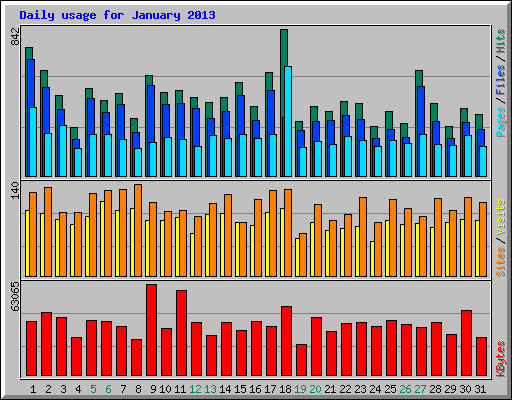 Daily usage for January 2013