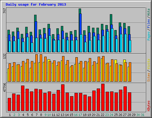 Daily usage for February 2013