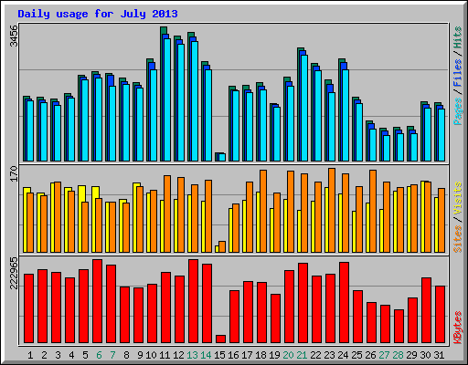 Daily usage for July 2013