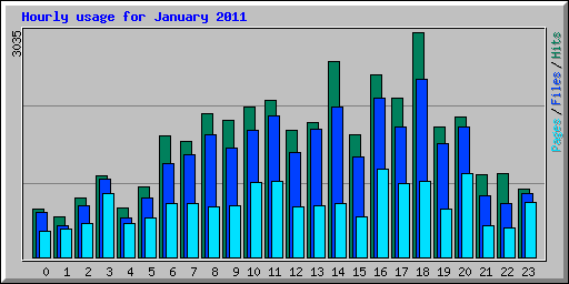 Hourly usage for January 2011