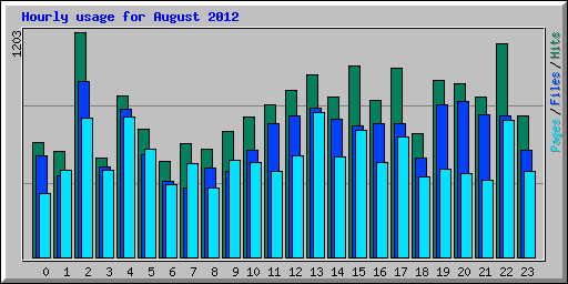 Hourly usage for August 2012