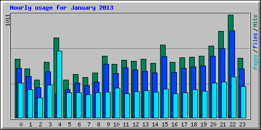 Hourly usage for January 2013