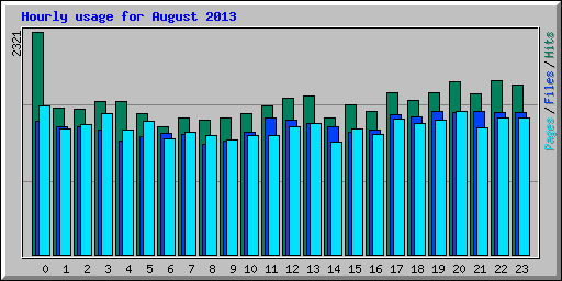 Hourly usage for August 2013